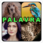 آیکون‌ 4 Pics 1 Word: Games
