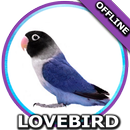 Suara Burung Lovebird Mp3 APK