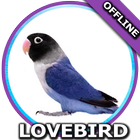 Suara Burung Lovebird Mp3 ikona