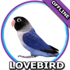 Suara Burung Lovebird Mp3 أيقونة