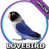 Suara Burung Lovebird Mp3 иконка