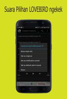 Suara Burung Lovebird Mp3 تصوير الشاشة 2