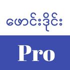 Founddie Pro - Allkar - Loekar icône