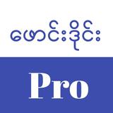 Founddie Pro - Allkar - Loekar icône