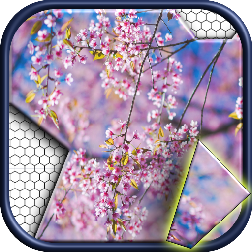 Jigsawnoi: Jigsaw puzzles rede