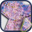 Jigsawnoi: puzzles redefined icon