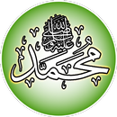 Quiz sur le Prophète Mohammed (pbsl) APK