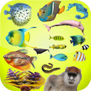 أسرار الحيوانات بدون نت APK