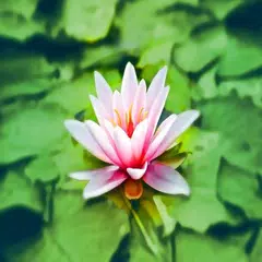 Bilka - Breathing exercises Icon