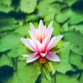 Bilka - Breathing exercises