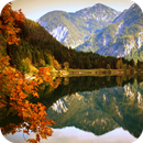 4K HD Wallpaper-APK