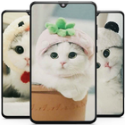 Cute Cat Wallpaper icon