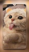 Cute Cat Wallpaper Ekran Görüntüsü 3