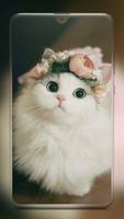 Cute Cat Wallpaper ポスター