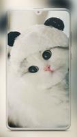 Cute Cat Wallpaper スクリーンショット 1