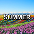 Four Seasons Wallpaper APK