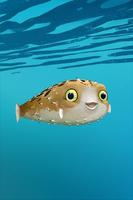پوستر Blowfish - Live Wallpaper