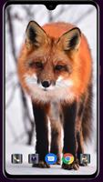 Fox Wallpaper تصوير الشاشة 3