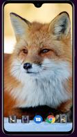 Fox Wallpaper Affiche