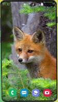 Fox Wallpaper HD Screenshot 1