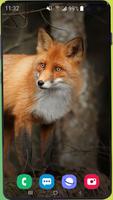 Fox Wallpaper HD Screenshot 2