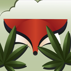 GrassFox icône