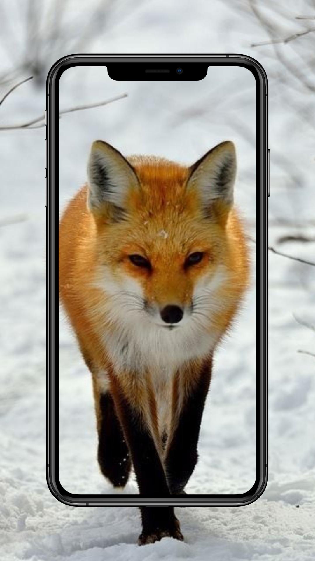 Fox android