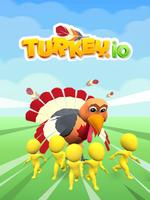 Poster Turkey.io