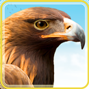 Bird Hunting 2021: Sniper 3D Hunter Games APK