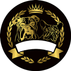 French bulldog icône