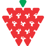 Strawberry Fields High School icono