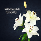 Icona Condolences and Sympathy