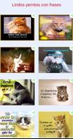 Gatitos tiernos con frases de  Affiche