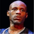 DMX Music App