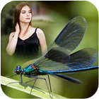 Dragonfly Frame Collage icon