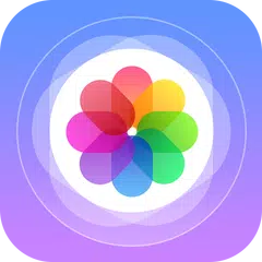 Gallery XAPK download