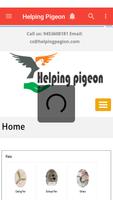 Helping Pigeon پوسٹر