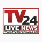 TV24 Live News icône