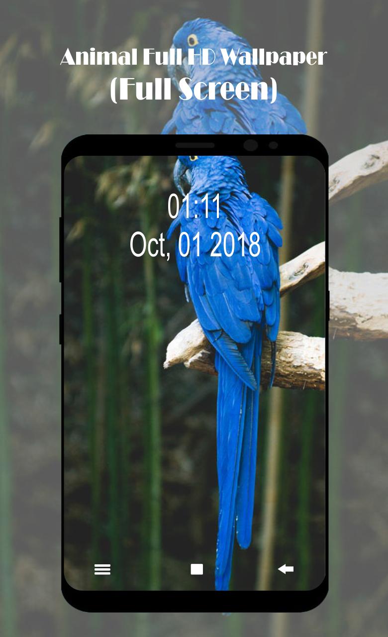 35 Gambar Hd Wallpaper for Android Full Screen terbaru 2020 35 Gambar Hd Wallpaper for Android Full Screen terbaru 2020