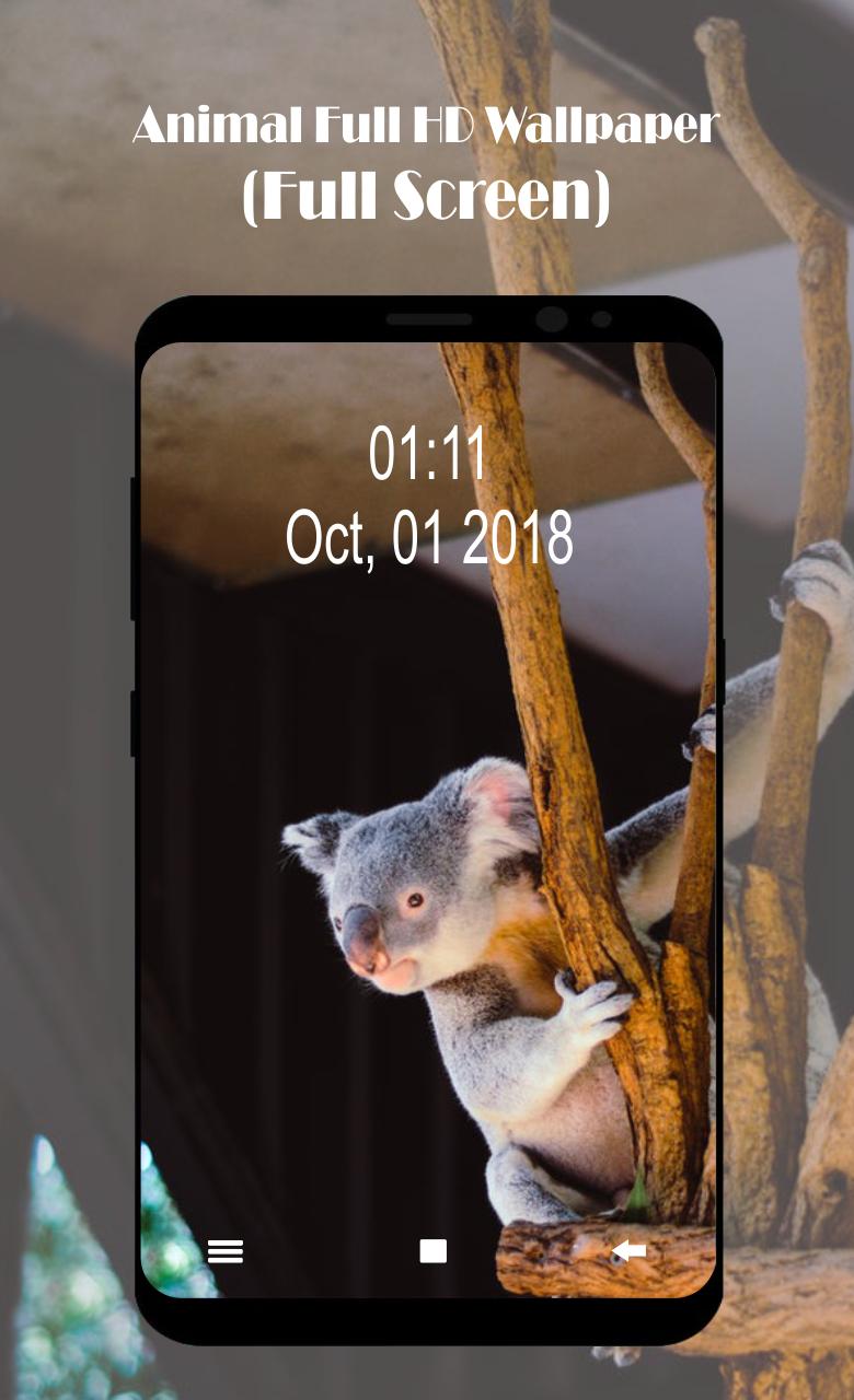Animal Full Hd Wallpaper Full Screen For Android Apk Download
