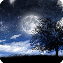 Frases de Boa Noite APK