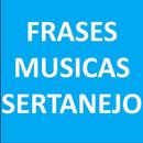 Frases de musica sertanejo APK