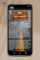Frases para conquistar mujer اسکرین شاٹ 3