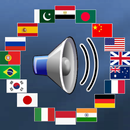 フレーズで言語を学ぶ APK
