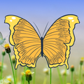 Vlinders in Nederland
