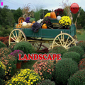 Landschaft
