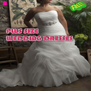 Robe De Mariée Grand APK