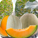 beneficios de la Melón APK