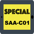 SAA-C01 All-in-One Exam