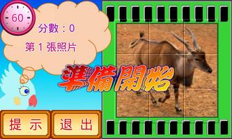 動物拼圖遊樂園 screenshot 2
